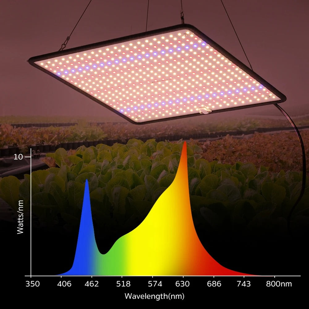 1200W 500-LED Grow Lights For Indoor Plants