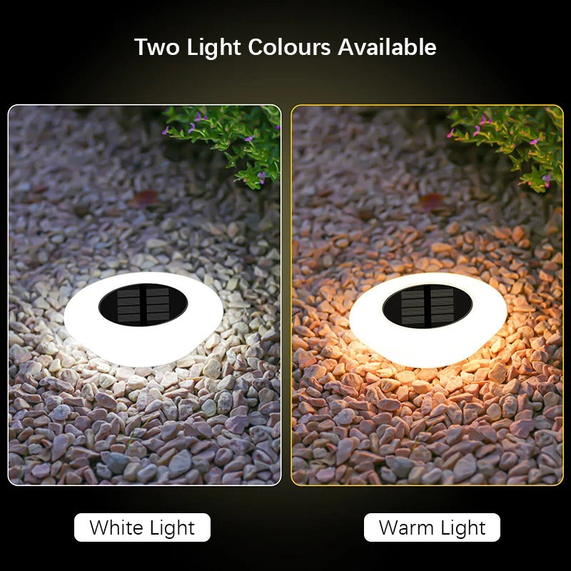 EverGlow - 14 LEDs Solar In-Ground Lights Outdoor Waterproof
