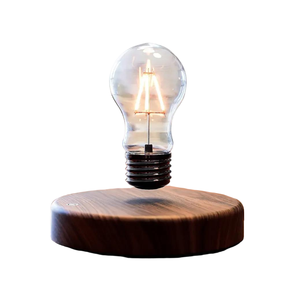 Modern Floating Lamp, 360 Rotation Magnetic Light Bulb for Office, Bedroom, Living Room