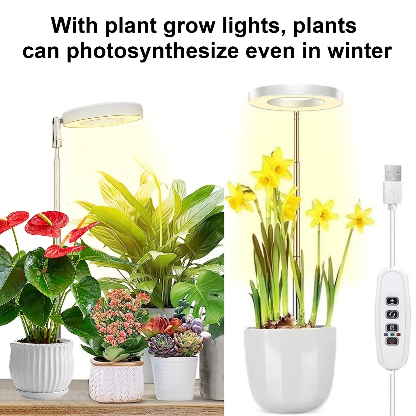 Indoor LED Plant Grow Lights with Stable Base - Adjustable Height & Full Spectrum Plant Lamp