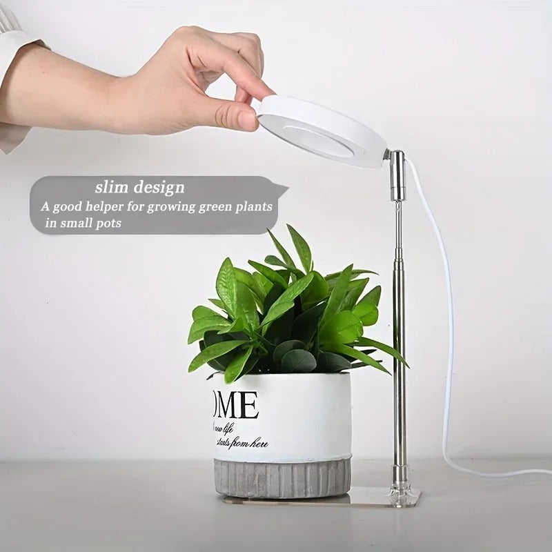 Indoor LED Plant Grow Lights with Stable Base - Adjustable Height & Full Spectrum Plant Lamp