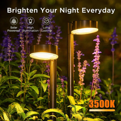 12-LED Bright Solar Lights For Pathway Outdoor Waterproof