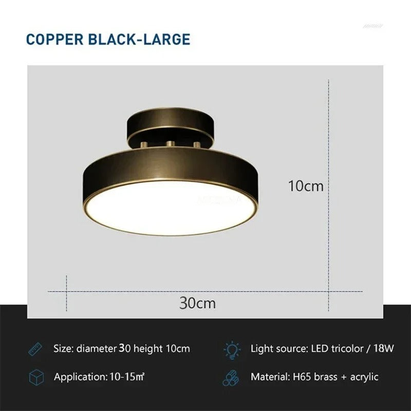 LumiSpace - Modern Rotatable LED Ceiling Light - Round Fixture for Home