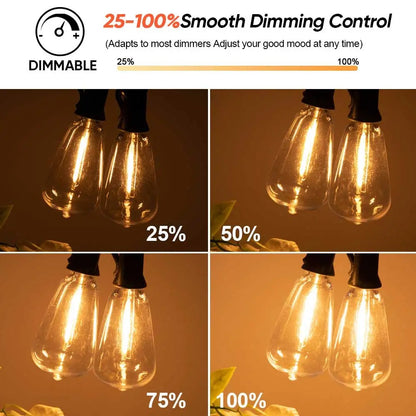 Glowscape - 12V LED Outdoor String Lights with Vintage ST38 Bulbs
