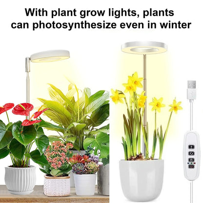 Indoor LED Plant Grow Lights with Stable Base - Adjustable Height & Full Spectrum Plant Lamp