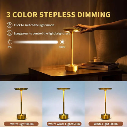 Modern Aluminum Touch Table Lamp, Dimmable Portable Rechargeable LED Night Light for Bedside
