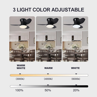 Nordic Essence Modern LED Ceiling Fan Light for Bedroom & Dining Room